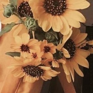 Meet your Posher, Bella